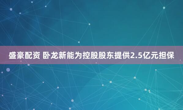 盛豪配资 卧龙新能为控股股东提供2.5亿元担保